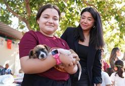 Çukurova can dostlara sahip çıkıyor! 'Onlar bize emanet'