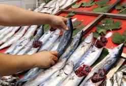 İstanbul'da tezgahlar 7 bin 500 ton balıkla buluştu