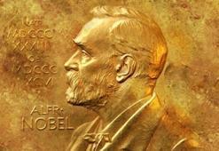 2024 Nobel Tıp Ödülü'nün sahibi belli oldu