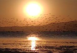 Güneşin kenti  Van'da kartpostallık görüntü! Flamingolarla gün batımı