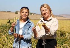 Edirne'de biri memur, diğeri esnaf olarak çalışan kardeşler köylerine dönüp üretime başladı
