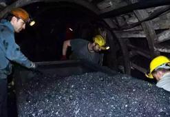 Türkiye Taş Kömürü Kurumu 132 personel alacak