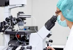 Nijerya'da maymun çiçeği vaka sayısı 84'e yükseldi