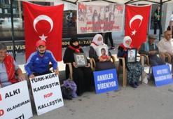 Muşlu ailelerin "evlat nöbeti" devam ediyor