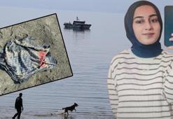 Kayıp Rojin'i arama çalışmaları başörtüsünün bulunduğu bölgede yoğunlaştırıldı