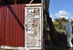 Kapalı ilaçlama yapmak meyve sineği ile mücadeleyi etkisiz hale getiriyor