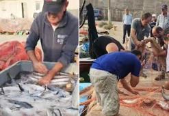 Palamut bolluğu yaşanıyor! Fiyatlar 75 TL'den başlıyor