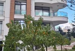 Ankara'da ABD vatandaşı evine girmeye çalışırken öldü