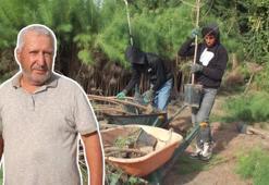 Emekli banka müdürü paraya para demiyor, altın, döviz ve borsadan çok kazandırıyor! Balıkesir'de yetiştiriyor İstanbul’un havasını değiştirecek