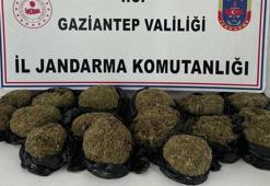 Gaziantep'te otobüsün bağajından 18.5 kilo skunk ele geçirildi