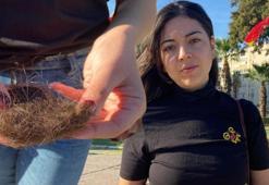 İzmir'de kadın doktora skandal saldırı! Detayları kan dondurdu