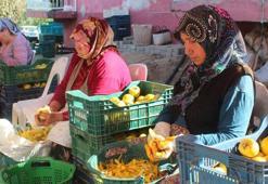 Manisa'da üretiliyor kalp dahil birçok organa iyi geliyor! Kilosu 10 Euro'dan yok satıyor