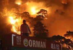 Muğla'nın Ortaca ve Dalaman ilçesinde orman yangını çıktı! Ekipler müdahale ediyor