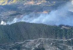 Muğla'da orman yangı! İki mahallede 85 hane boşaltıldı