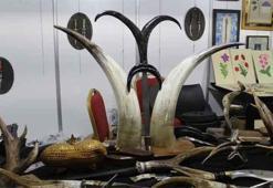 Hayvan boynuzlarından bıçak yapıyor! Fuarın en beğenilen ürünleri oldu