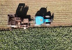 Sivas’ta sezon rekorla kapandı! Üreticiler sonuçtan memnun