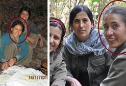 MİT'ten Süleymaniye'de nokta operasyon