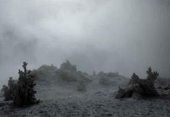 Köroğlu Dağları karla kaplandı! Kar kalınlığı 10 santimetreyi aştı