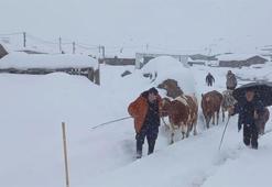 Yoğun kar yağışı başladı! Her yer beyaza büründü