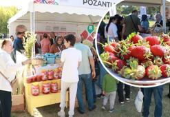 Adana Lezzet Festivali'ne damgasını vurdu: Pozantı çileği kapış kapış gitti