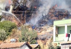 Antalya'da elektrik telleri ağılın üzerine düştü: 50'ye yakın keçi ve koyun telef oldu