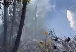 Adana'da orman yangını! Havadan ve karadan müdahale ediliyor