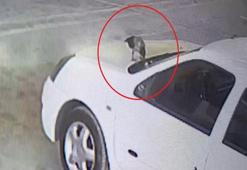 Mersin'de tamirciye gelen karga arabanın anahtarını çaldı!