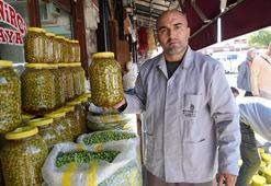 Gaziantep'in 'yeşil altın'ı tezgahta yerini aldı! Kilosu 70 TL'den satışta