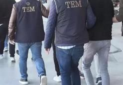 31 ilde terör örgütü PKK operasyonu: 176 terörist yakalandı