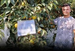 Düzce'de genç çiftçiden insanlık ölmemiş dedirten hareket!