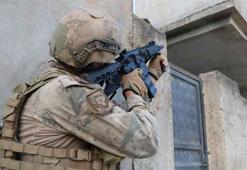 45 ilde DEAŞ'a 'Gürz' operasyonu! 216 kişi gözaltına alındı