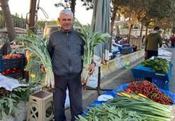 Karaciğer dostu enginarlar Aydın'da tezgahlarda yerini aldı
