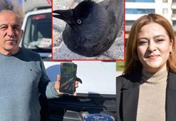Yolda gördüğü kargayı videoya çekti, karakolda ifade vermeye gitti