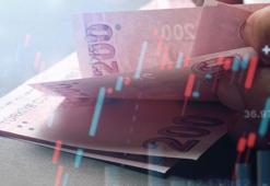 Tarım ve Orman Bakanlığı duyurdu! Destek ödemeleri hesaplara aktarılıyor