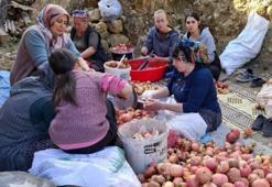 Adana'da sopalar ellere alındı! Nar ekşisi mesaisi başladı