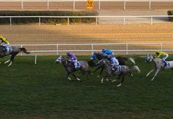 101. yıl aşkına! Ankara’da tarihi yarışlar... Cumhuriyet coşkusu Tay TV'de