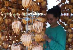 Denizli'de cennet hurmaları terasları süsledi: Özenle kurutuluyor, Türkiye'nin dört bir yanına gönderiliyor