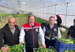 Türkiye'nin sebze ve meyve ambarı Erzincan'da çiftçiye büyük destek! 'Daha fazla üretmek istiyoruz'