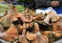 Doktordan mantar uyarısı! Zehirlenme ölüme sebep olabilir