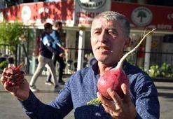 Antalyalı çiftçi, Trump yeniden seçilince turp ve ejder meyvesi dağıttı