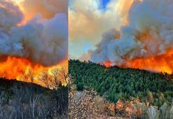 Bursa'da çıkan yangın Balıkesir Dursunbey'e sıçradı