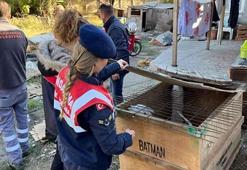 Kırklareli'de yasaklı ırk köpek besleyenlere 317 bin lira ceza!