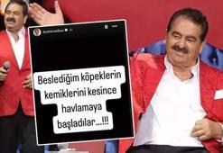 İbrahim Tatlıses'in bir cümlesi olay yarattı! 'Beslediğim köpekler..."