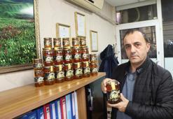 2 bin 300 rakımda 400 çiçekten toplanıyor! Anzer Balı'nda hasat başladı