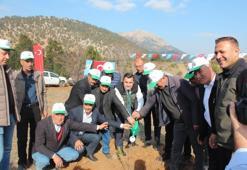 Ağaçlandırma Günü'nde Saimbeyli'de 2 bin fidan toprakla buluştu