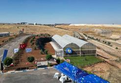 Gaziantep'te çevre dostu örnek proje: Çöpten enerji üretip çilek yetiştiriliyor