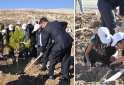 Maden sahası rehabilitasyonu projesiyle 511 hektar doğaya kazandırılıyor