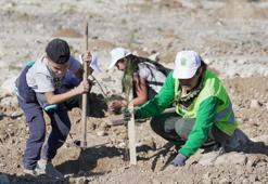 511 hektar doğaya kazandırılıyor