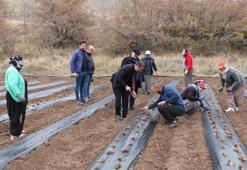 Erzincan çileğin merkezi olacak! 'Yeni projelerimiz devam edecek'