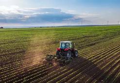 Tarımın geleceği tehlikede: Kuraklık hububatta ekim takvimini değiştirdi